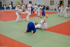 20160103 nr272 - Per Ottosson